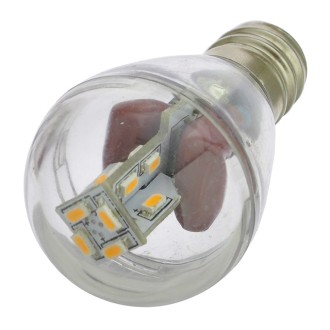 E12 Base S8 1-Watt LED Bulb with 16xSMD3014 and Clear Cover 100-240V AC (6-Pack)