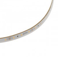 12V 24W UL 16.4-ft IP65 Water-Resistant Flexible Ribbon LED Strip Light with 300xSMD2835 in Silicone Sleeve