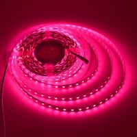 24V UL High-Output 32.8-ft Pink Flexible LED Ribbon Strip Light with 600xSMD5050