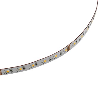 24V High-Output 32.8-ft RGBW Color-Changing + Warm-White Flexible LED Ribbon Strip Light with SMD1808RGB and SMD2835