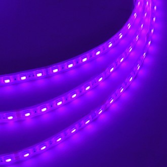 24V 16.4-ft Waterproof Silicone Sealed RGB Color-Changing Flexible Ribbon LED Strip Light with 300xSMD5050