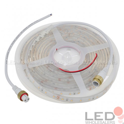 24V High-Output High-CRI IP68 Waterproof Flexible LED Strip with 300xSMD2835 | LEDwholesalers
