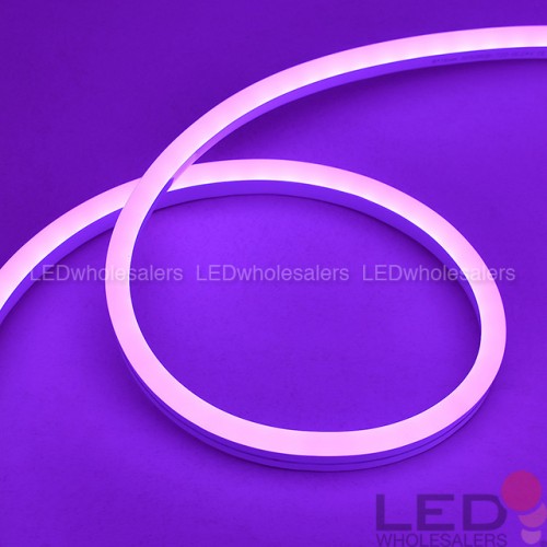 24V 65-ft 8x16mm IP65 Water-Resistant RGB Color-Changing Flexible Silicone LED Neon Strip Light LEDwholesalers