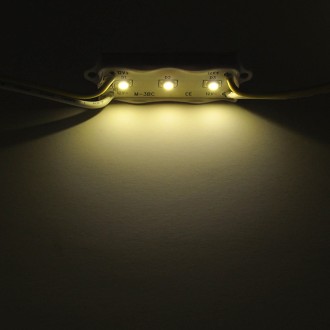 12V 5-ft String of 10 Water-Resistant LED Modules, Each with 3xSMD3528