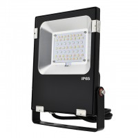 20W RGB+CCT Smart LED Landscape 160º Flood Light 2.4GHz RF 100-240VAC