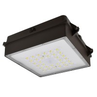 80-Watt Outdoor LED Canopy Ceiling Light Fixture ETL-Listed, Daylight 5000K