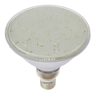 LED PAR38 Flood Light Bulb with Glass Body, Red (Final Sale)